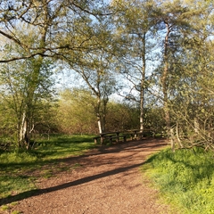 Ausflug im Mai 2016 (10)